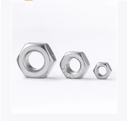 316 Hex Nut Set