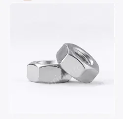 316 Hex Nut Set
